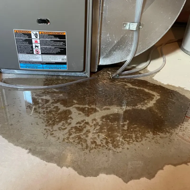 Appliance Leak Cleanup in Leicester, VT